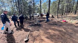 Relacionada restos-madera.jpg