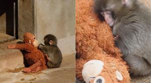 Relacionada descarga-65.jpg