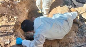 Relacionada fosa.jpg