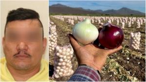 Relacionada pixlr_20260219162636207.jpg