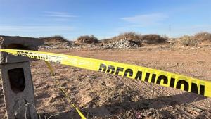 Relacionada whatsapp-image-2026-02-19-at-53036-pm.jpg