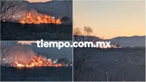 Relacionada pixlr_20260219201912853.jpg