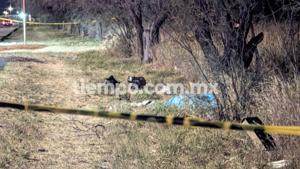 Relacionada 1000267477.jpg