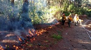 Relacionada incendio-forestal.jpg