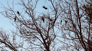 Relacionada clima20febrero.jpg