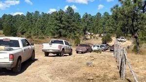 Relacionada images-2024-08-05t125443282.jpg