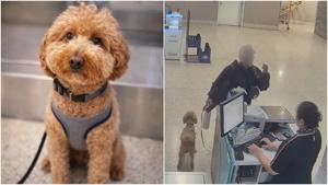 Relacionada fotojet-1.jpg