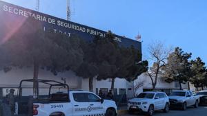 Relacionada pxl_20260220_1552001782.jpg