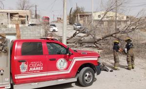 Relacionada afectaciones637079457_918461780696723_533949990717968543_n.jpg