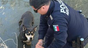 Relacionada descarga-82.jpg