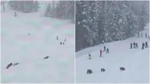 Relacionada fotojet-5.jpg