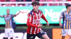 Relacionada hormiga.jpg