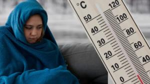 Relacionada screenshot-2026-02-20-192639-1.jpg