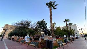 Relacionada principal_fuerteviento21marzo.jpg