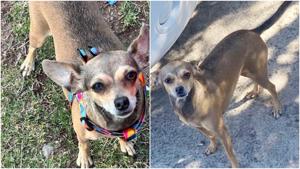 Relacionada fotojet.jpg