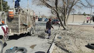 Relacionada 6999fbc0c412a__6999fbc0c412b.jpg