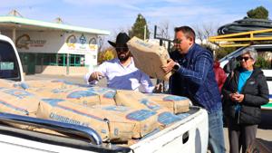 Relacionada coesvi.jpg