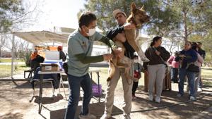 Relacionada 699a11603bcae__699a11603bcaf.jpg