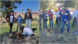 Relacionada fotojet-4.jpg