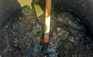 Relacionada img-20260221-wa0158.jpg