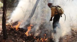 Relacionada incendio-forestal.jpg