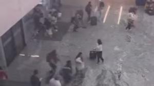 Relacionada aeropuertogdl.jpg