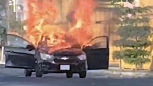 Relacionada jalisco.jpg