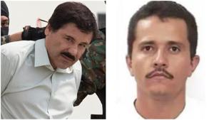 Relacionada inshot_20260222_131530297.jpg