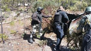 Relacionada 1000268285.jpg