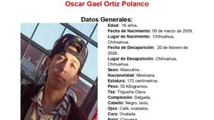 Relacionada 9f48af44-c5c5-4536-ae9a-4b577ea69fe6.jpg