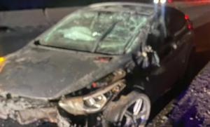 Relacionada download.jpg