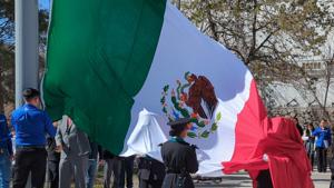 Relacionada pxl_20260223_163220264.jpg