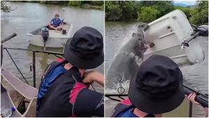 Thumb dcji4hsvmaao5cv