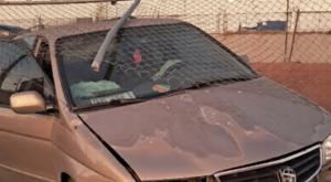 Relacionada download-17.jpg