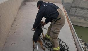 Relacionada whatsapp-image-2026-02-24-at-113625-am.jpg