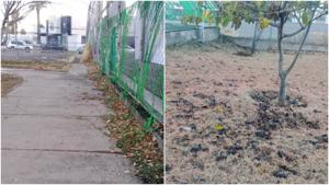 Relacionada fotojet-6.jpg