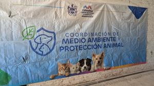 Relacionada pxl_20260224_183117795mp.jpg