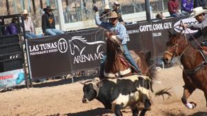 Relacionada 699e29f2046eb__699e29f2046ec.jpg