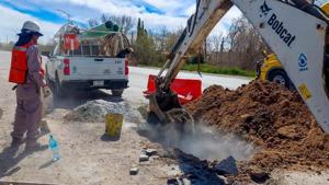 Relacionada e98035b4-33c8-43e9-b40d-919ca111d092.jpg