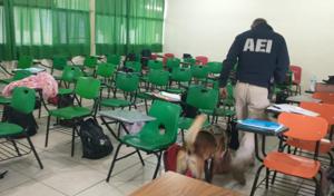 Relacionada img-20260224-wa0003.jpg