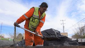 Relacionada img_20260225_075611.jpg