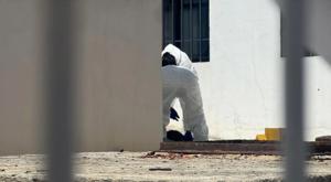 Relacionada descarga-1.jpg