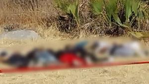 Relacionada 8cae8979d07890a5aadde3c2c5ac4674.jpg