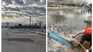 Relacionada whatsapp-image-2026-02-25-at-123358-pm.jpg