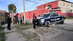 Relacionada whatsapp-image-2026-02-25-at-165955.jpg