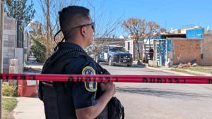 Relacionada inshot_20260226_105211924.jpg