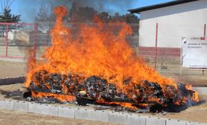 Relacionada img-20260226-wa0001.jpg