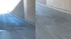 Relacionada bache-tecnologico.jpg