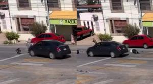 Relacionada atropello.jpg