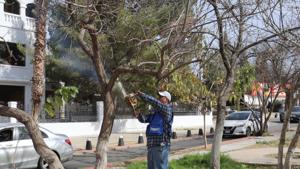 Relacionada fotojet-3.jpg